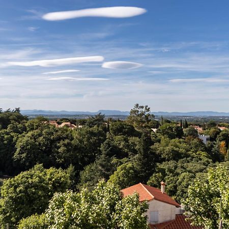 Vue 180°, Superbe Appartement Cocooning ! Laroque-des-Albères Eksteriør bilde
