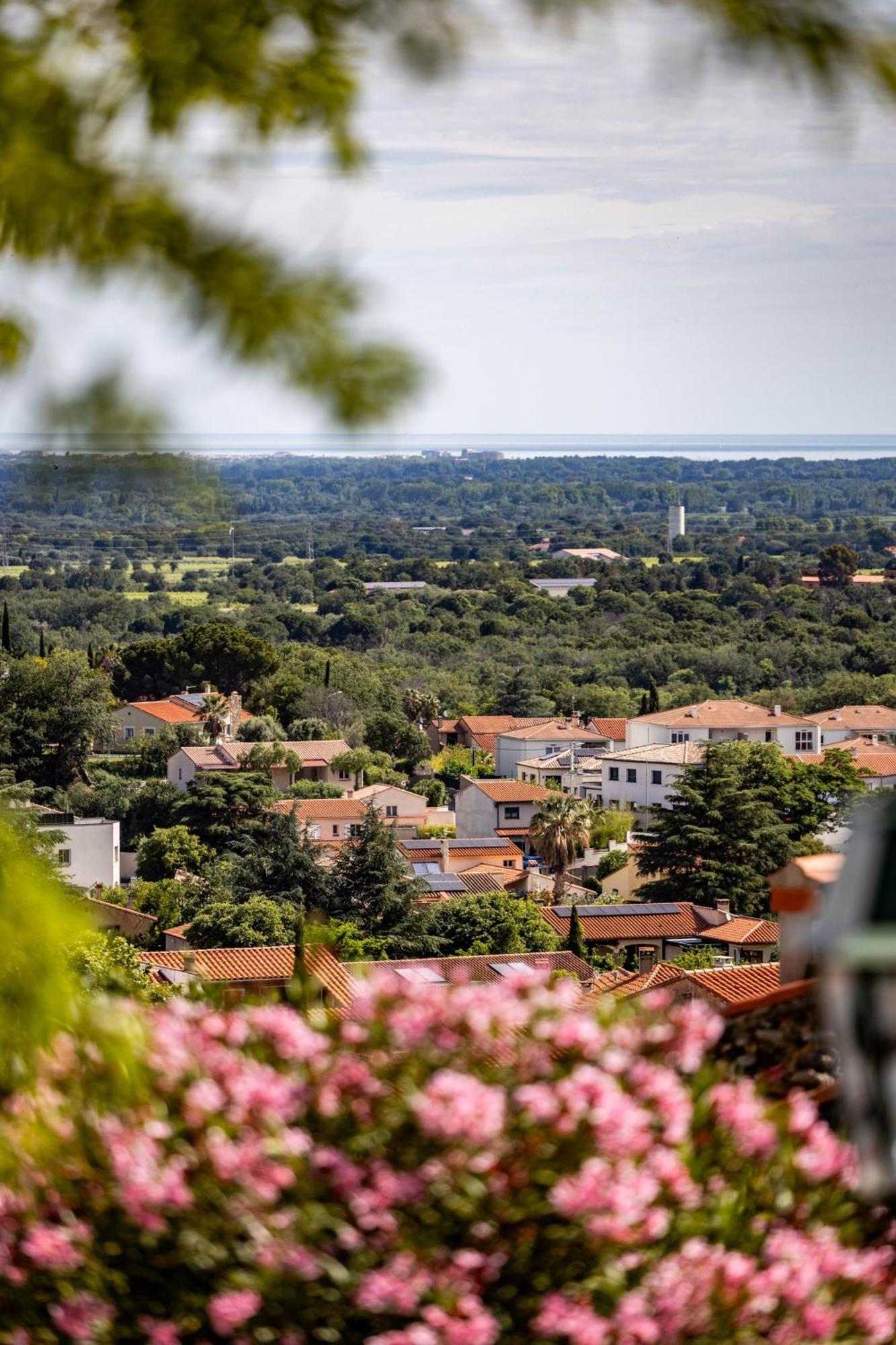 Vue 180°, Superbe Appartement Cocooning ! Laroque-des-Albères Eksteriør bilde