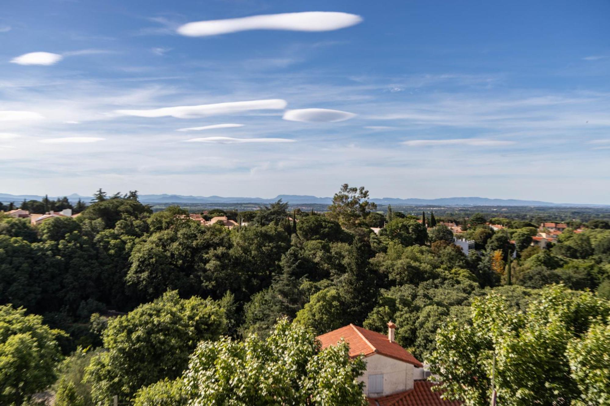 Vue 180°, Superbe Appartement Cocooning ! Laroque-des-Albères Eksteriør bilde