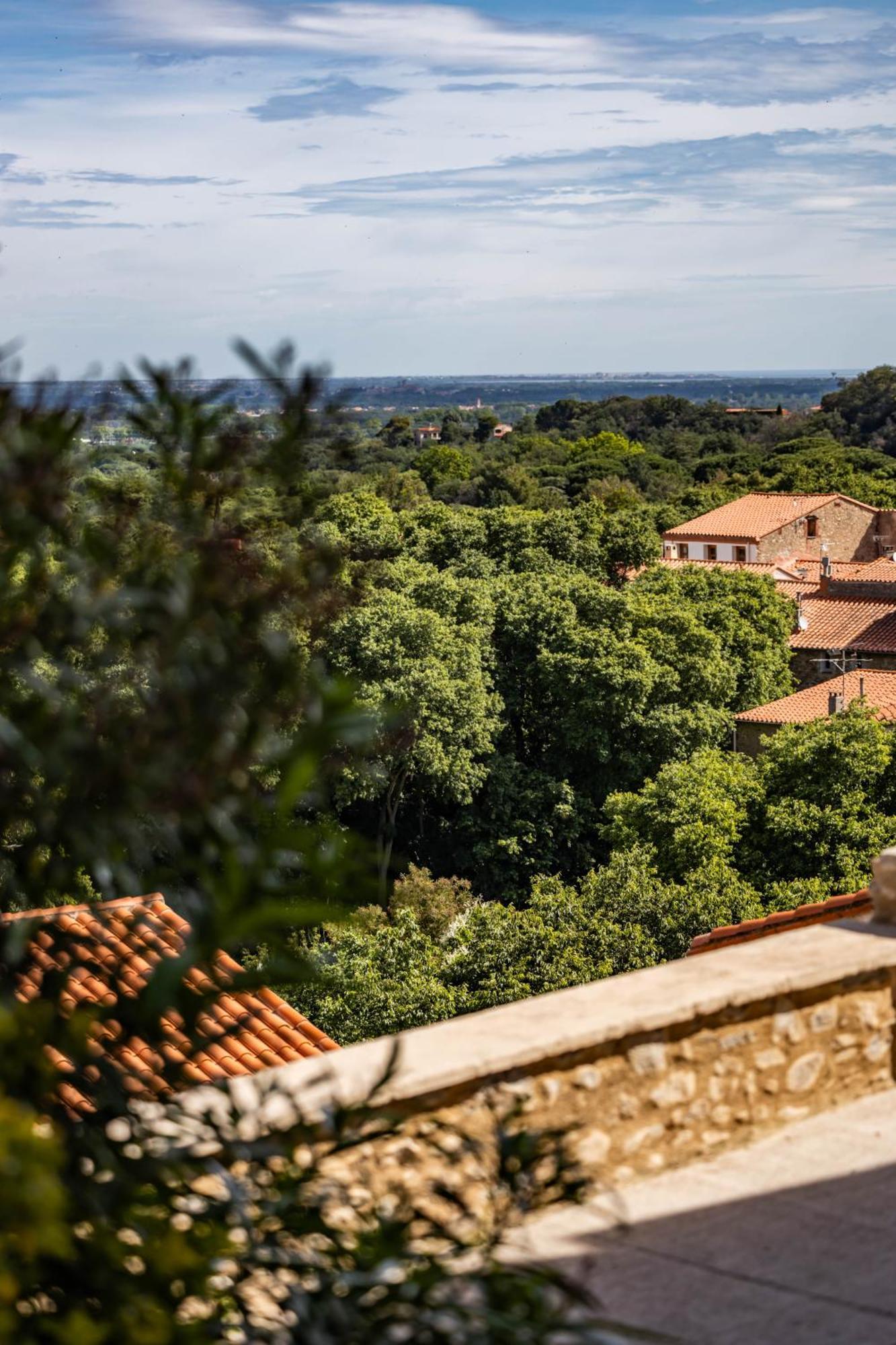 Vue 180°, Superbe Appartement Cocooning ! Laroque-des-Albères Eksteriør bilde