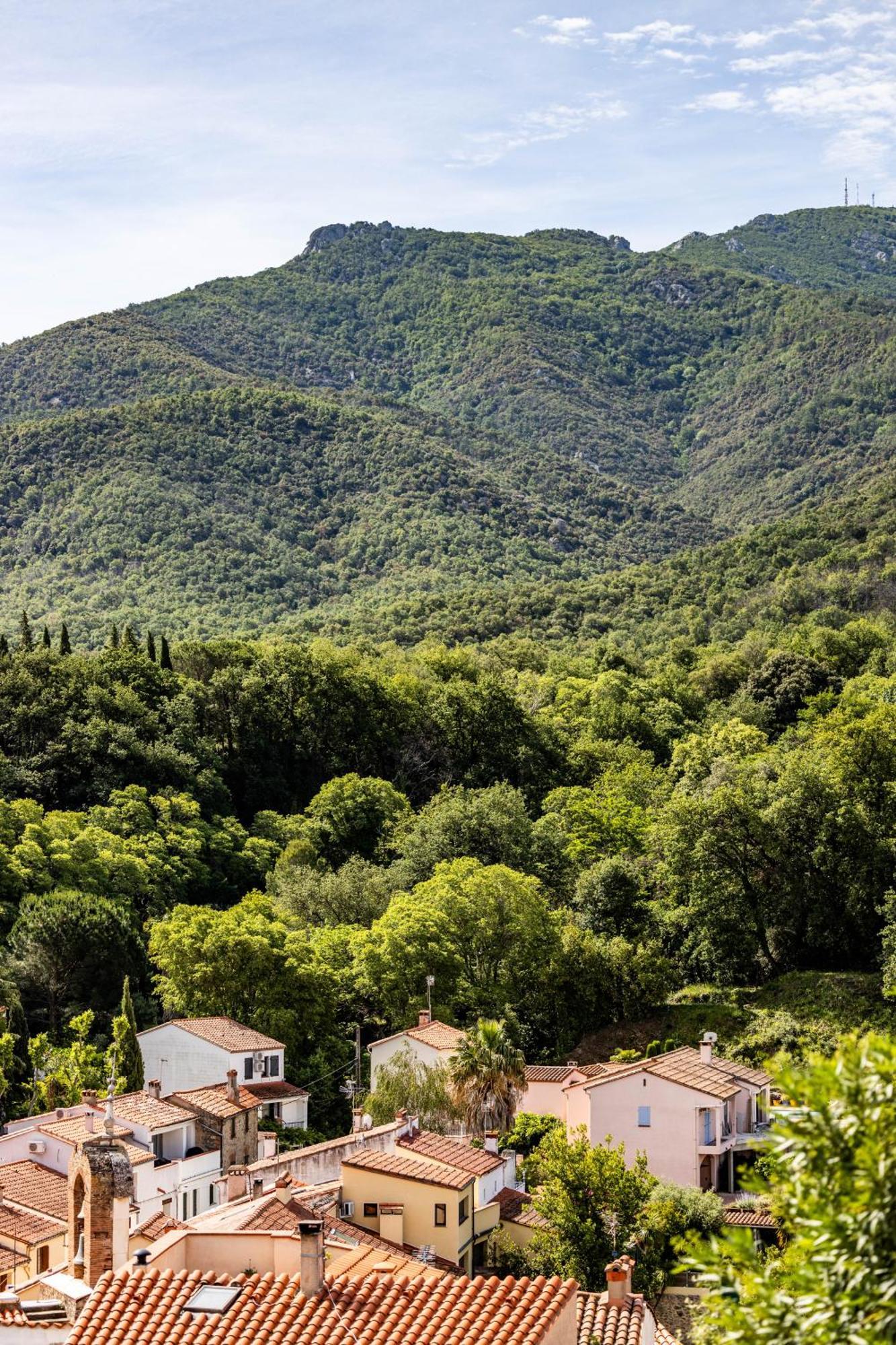 Vue 180°, Superbe Appartement Cocooning ! Laroque-des-Albères Eksteriør bilde